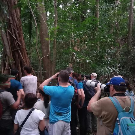 Tangkoko Backpacker Home Stay Rinondoran エクステリア 写真