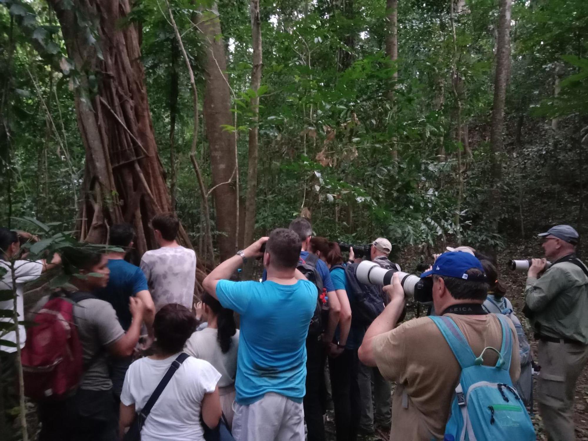 Tangkoko Backpacker Home Stay Rinondoran エクステリア 写真